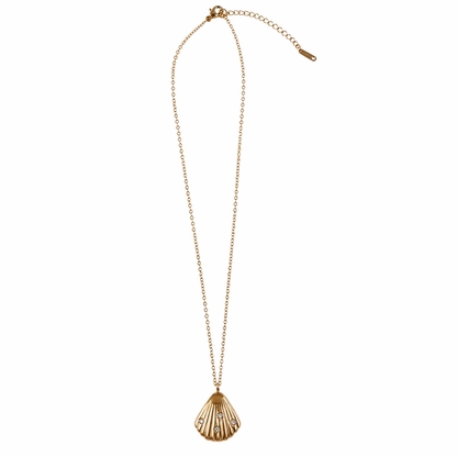 A gold-plated stainless steel chain for women featuring a ribbed seashell pendant with four small crystals