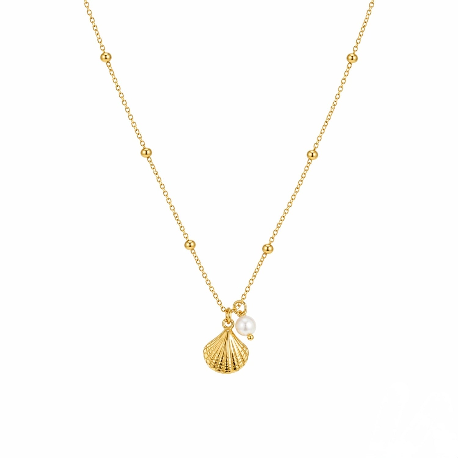 Gold necklace with a shell and pearl pendant on a white background