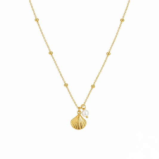 Gold necklace with a shell and pearl pendant on a white background